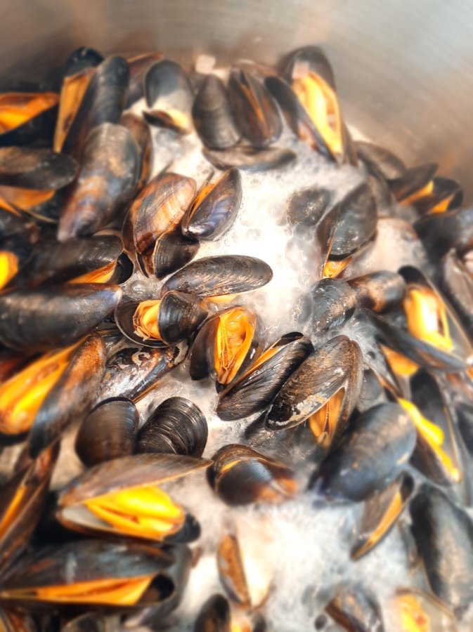 moules marinières - mijote et papote