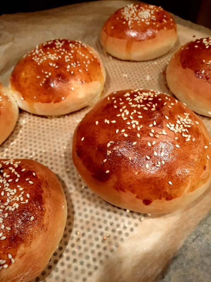 pain à burger rapide - mijote et papote