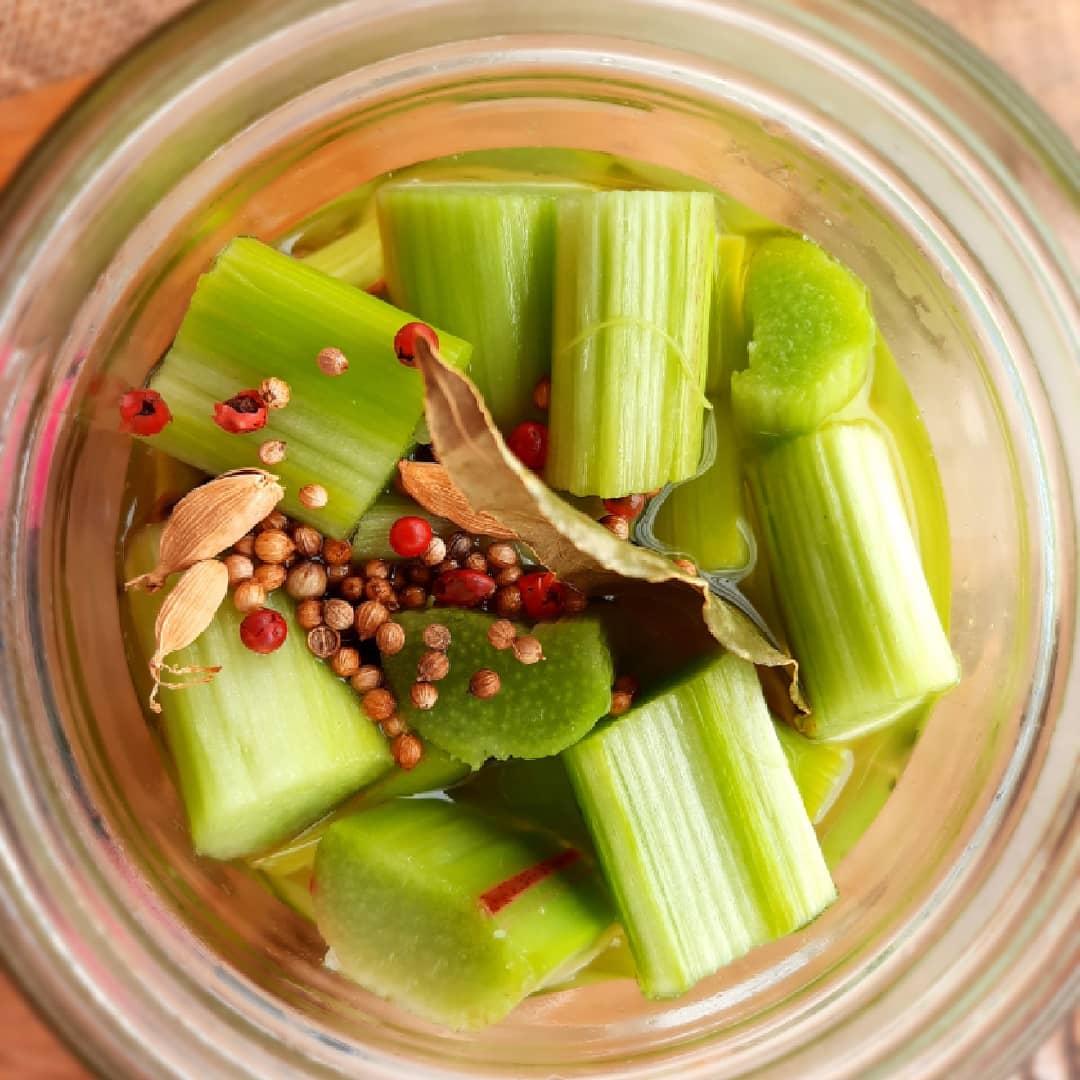 pickles rhubarbe-mijote et papote