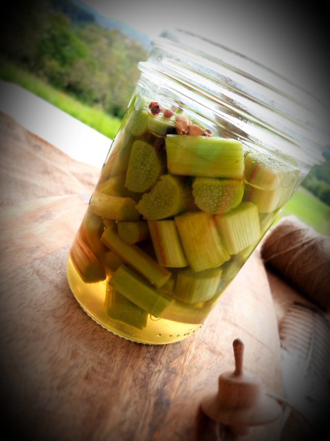 pickles rhubarbe-mijoteetpapote