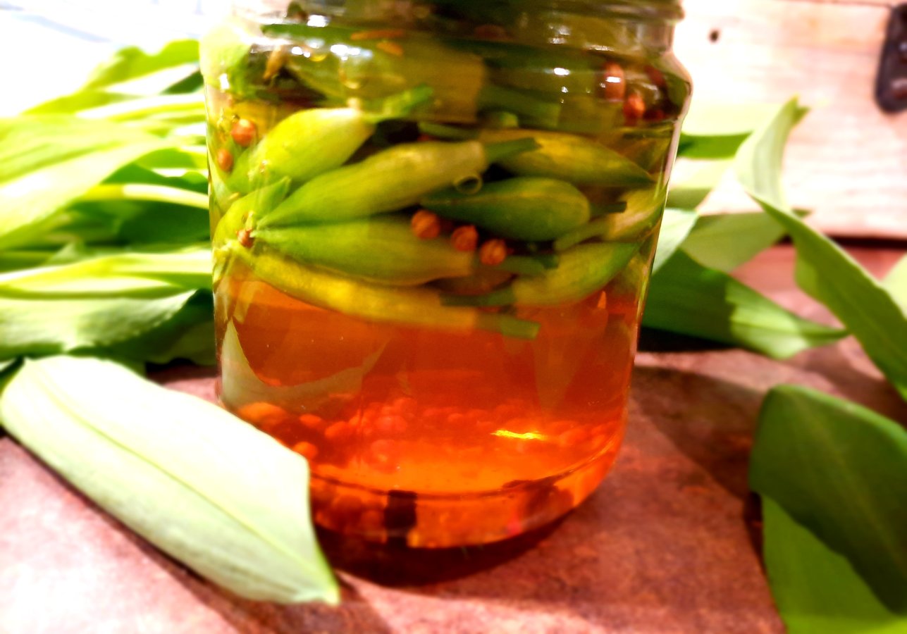 pickles ail des ours - mijote et papote